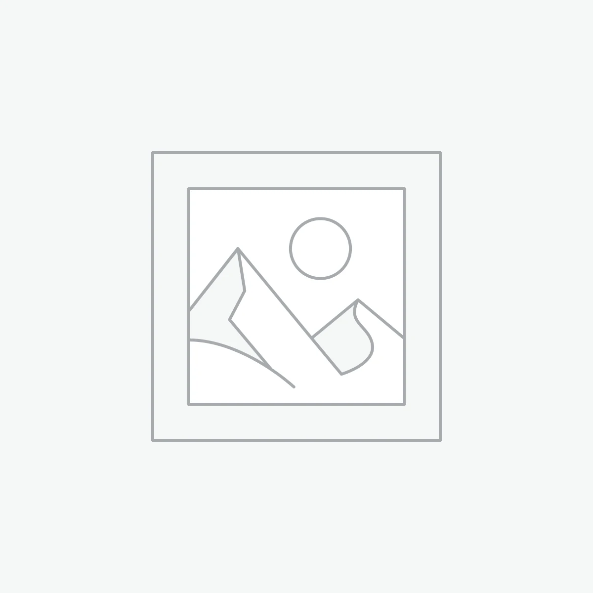 Chareles & Keith gold women's bag